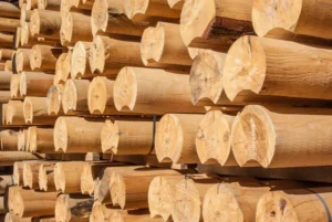 Timber - Image 5